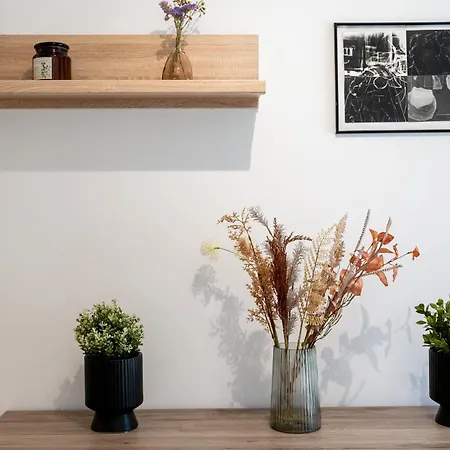 Debniki Pleasant By Bookinghost * Krakow